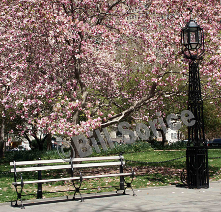 city-hall-park