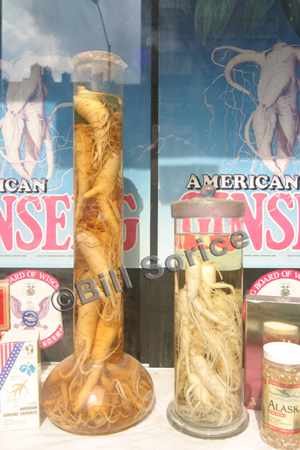 ginseng