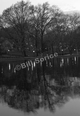 reflection-2
