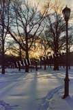Prospect-Park-1