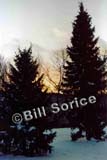 Prospect-Park-2