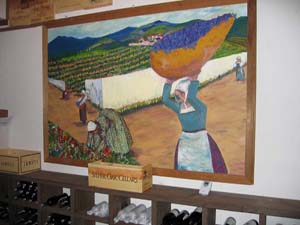 Vineyard Scene