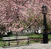 city-hall-park